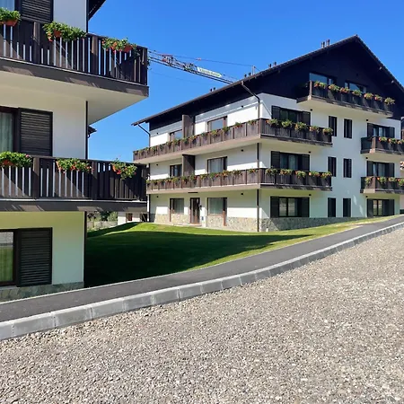 The Moon - Poiana Брашов