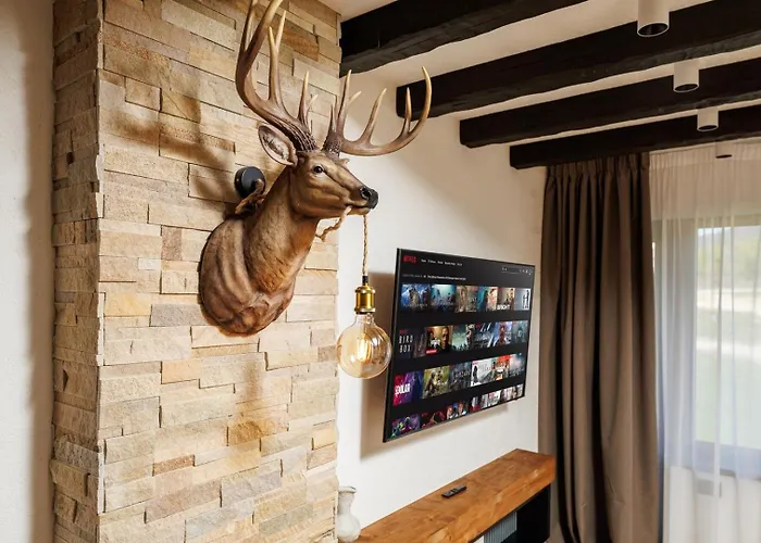 The Moon - Poiana Апартаменты *