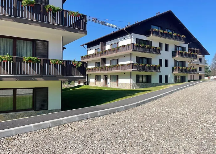 The Moon - Poiana Брашов